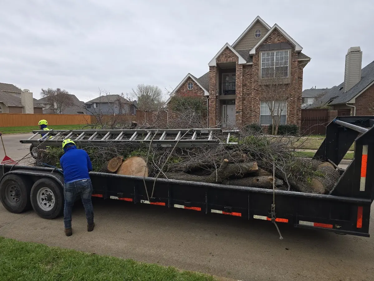 Expert Tree Removal with proper safety equipment in New Fairfield
